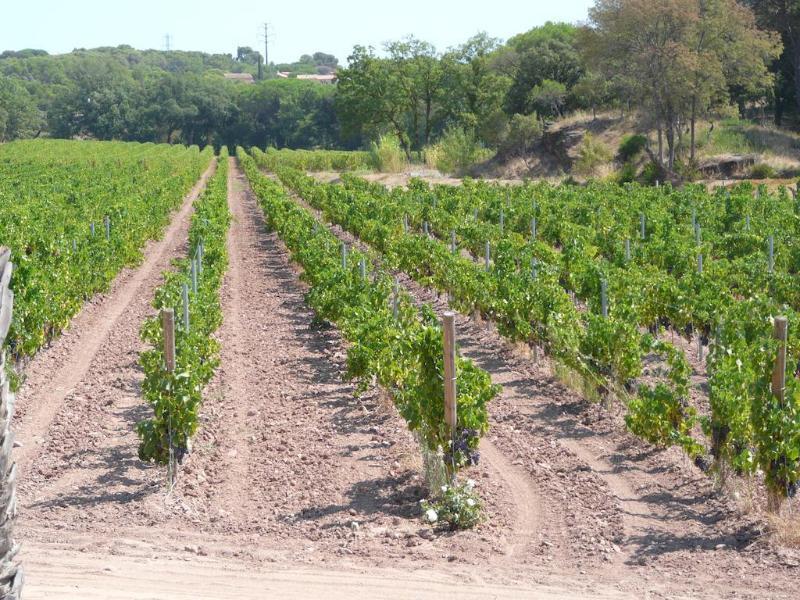 La Bastide Du Clos Des Roses - Teritoria Fréjus Екстериор снимка